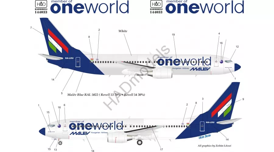 HAD - Boeing 737-800 One World